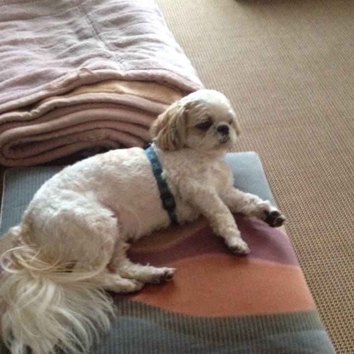 E81cf28e df35 4b21 b5c2 d024ca6b95c6