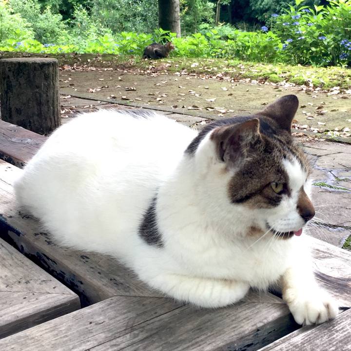 E81d7921 b794 4bf6 8512 f76a18b89dd1