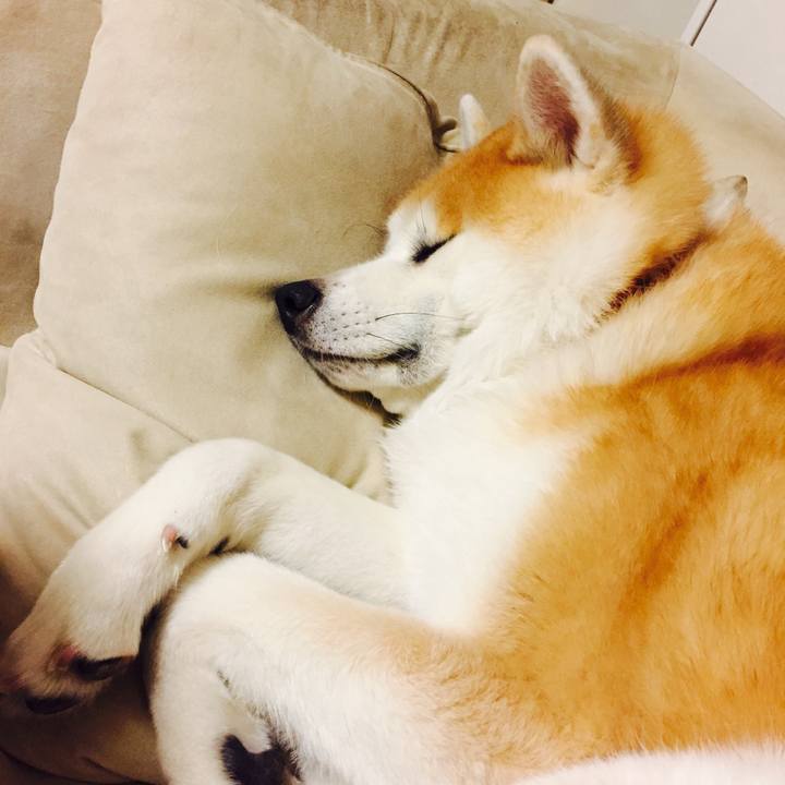 E81d8887 a38a 4bb0 8a21 5ad0b754a5c4