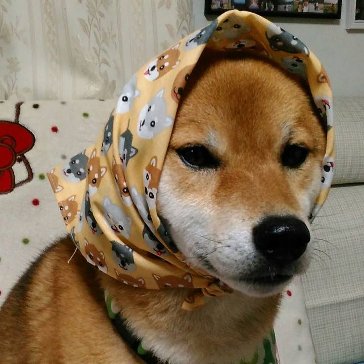 E81db30d 3f55 4f4c 9387 d5f2ae5f5f07