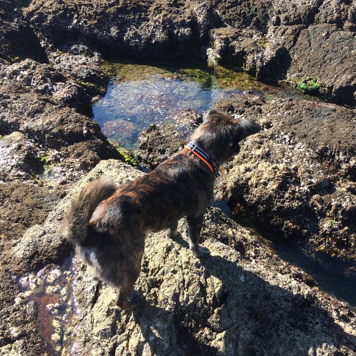 E81dbcc1 9fe4 4836 9609 aad41501fb57