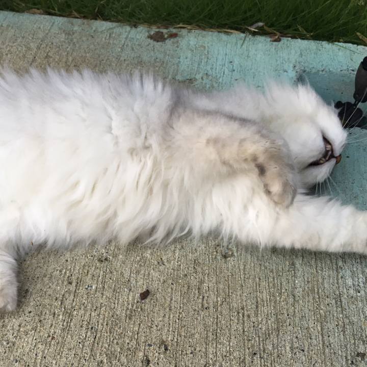 E81dea09 afa8 4d8d 8f6c 3b71a8c3abb5