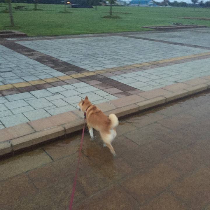 E81e344c 934e 4911 9a4c d60c784c8bca