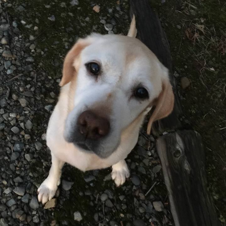 E81ebdee 9db2 4cd4 84d6 7db6ced2fdaa