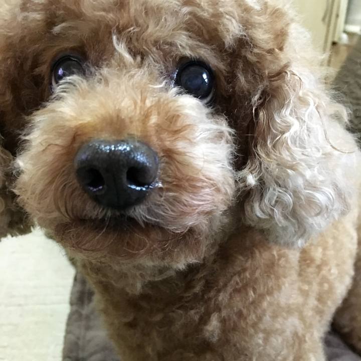 E81ec51b 52f8 4fda 8c00 cf60f04606da