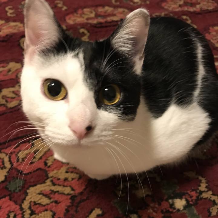 E81f821c b2c9 41af b63d 4d4daaa3dfd1