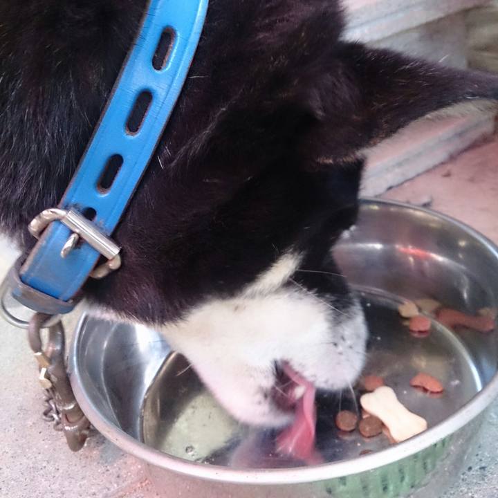 E81fcfd5 e2fa 4806 8ff0 c2232b9f59da