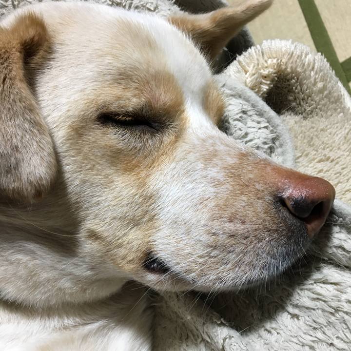 E820905c b782 4649 a2fb 4aa7b3b77c11