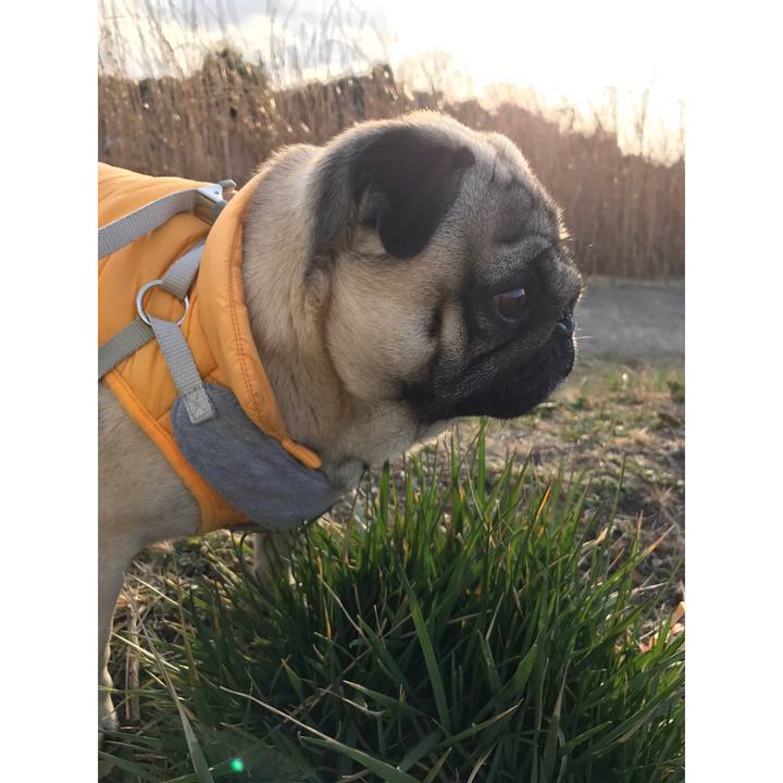 E820bc75 098e 4566 b4bc f25784312ea3