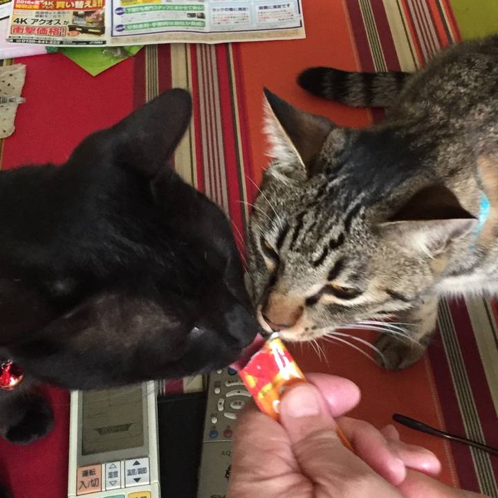 E8213870 40ef 4e25 8d87 01ab35275604