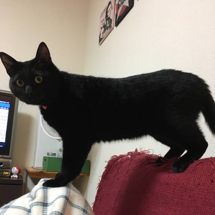 E821bad8 5a37 44c3 bd02 0efc8270e431