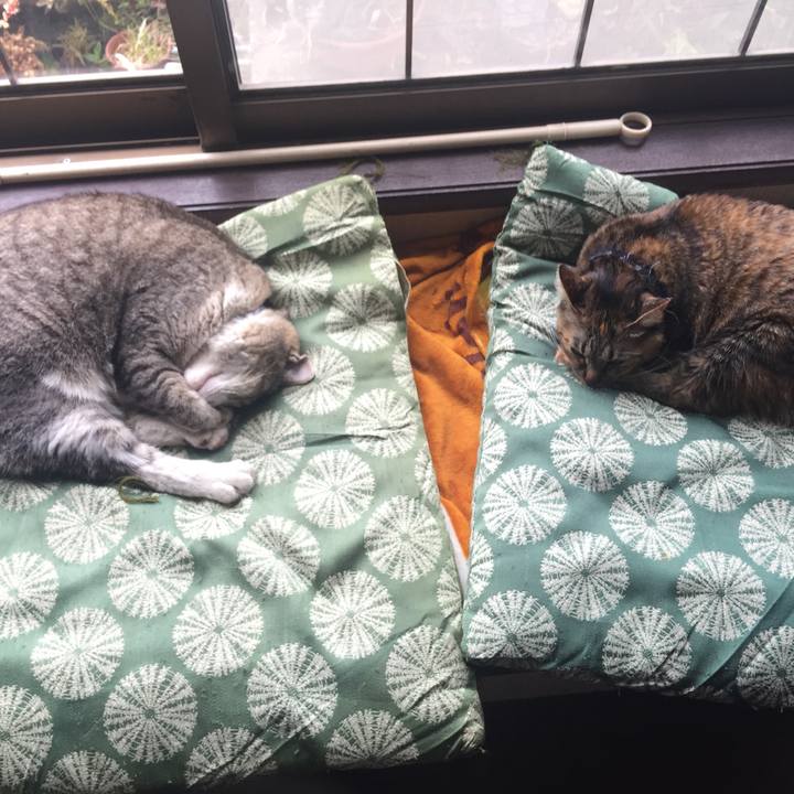 E822cdd5 34d1 4d17 bcd5 8789c642f984