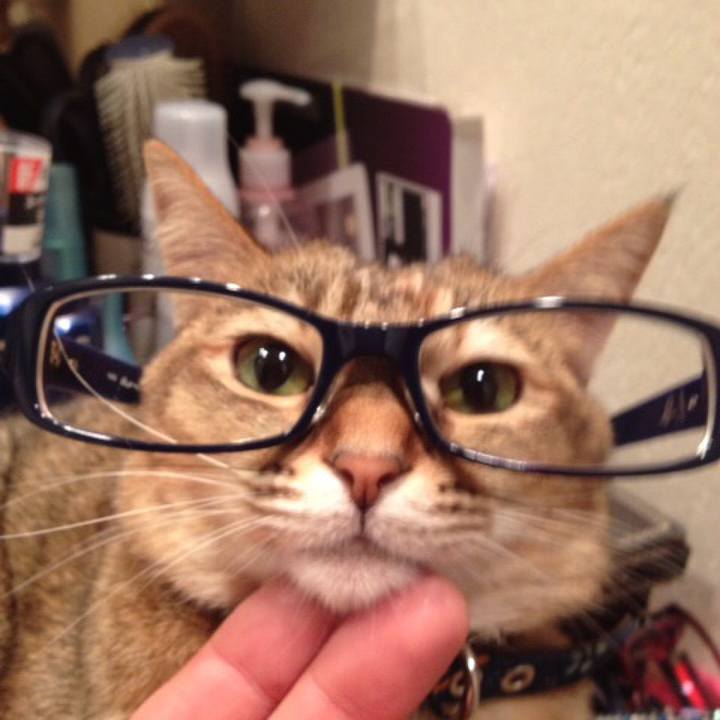 E822d678 464c 4e25 a707 6ae08242ad22