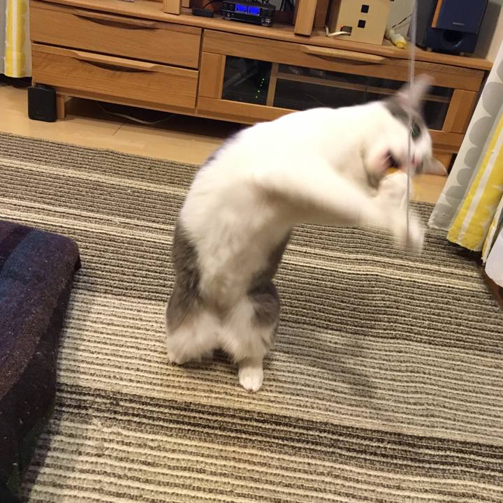 E8233bd6 2353 4d51 ba5c 89486fb7ace1