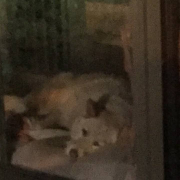 E8239363 0a9e 4d2b 8621 846fcb6177b6