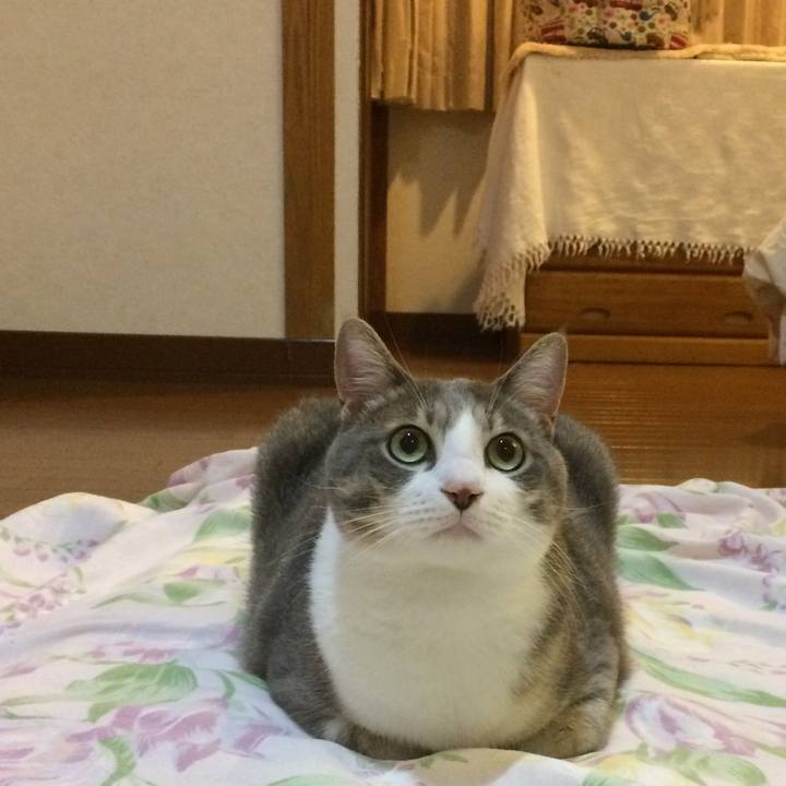 E823e4b4 798e 461f a47d df02a3b6ad53