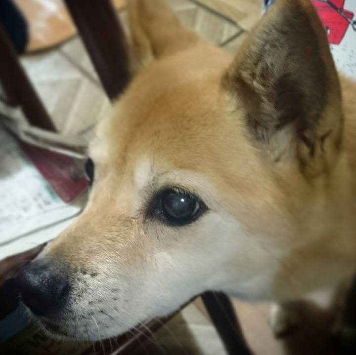 E823e8cf bb19 4d74 b2d3 920815aa9145