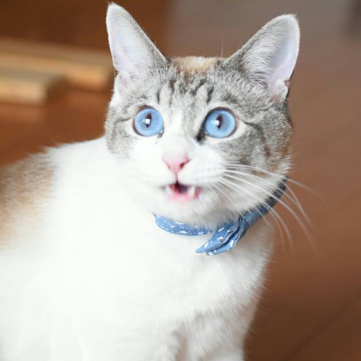 E8241253 f581 4c22 84bf 4f0a9d911737