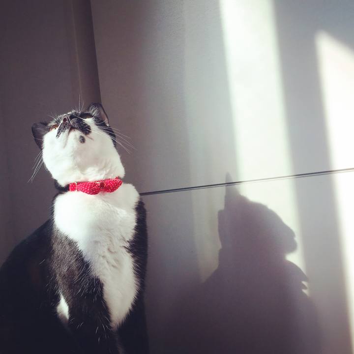 E8242be7 2207 4f98 b558 43e0bb6795a7