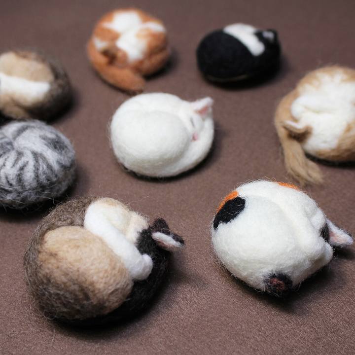 E8250e5e 682a 42e9 b17c 7ee11181c6bb