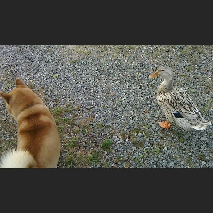 E8258366 258a 4ea0 a4c1 e35ac7badf1c