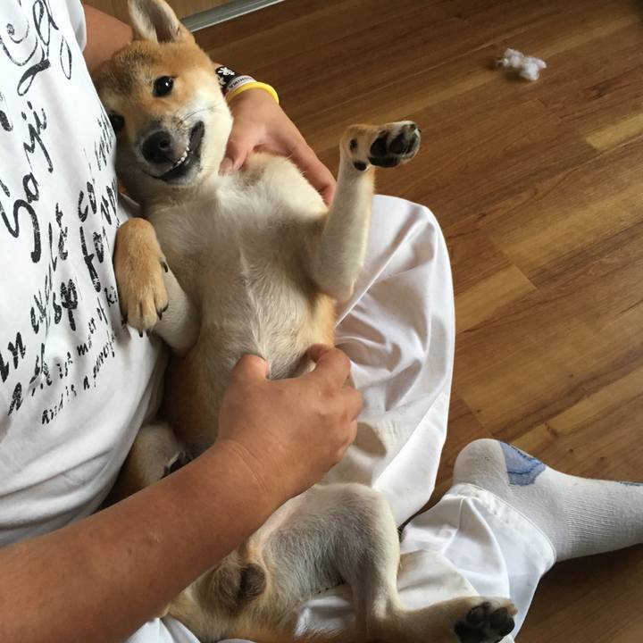 E825e6f5 ca07 41fa 8999 7313fc9c9b2e