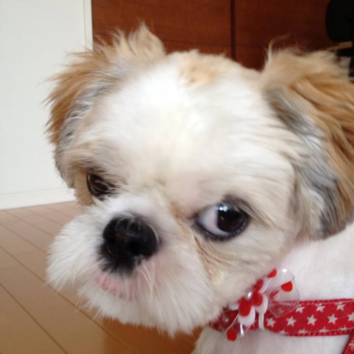 E8265a06 ccef 43c3 9690 c939d6a98392