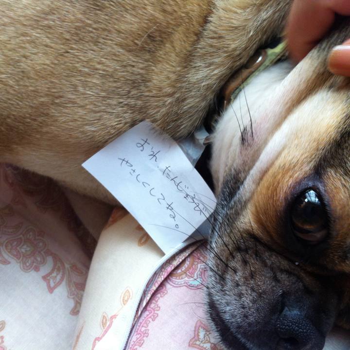 E82722b4 7232 4ae5 8a9c 0403c90a2140