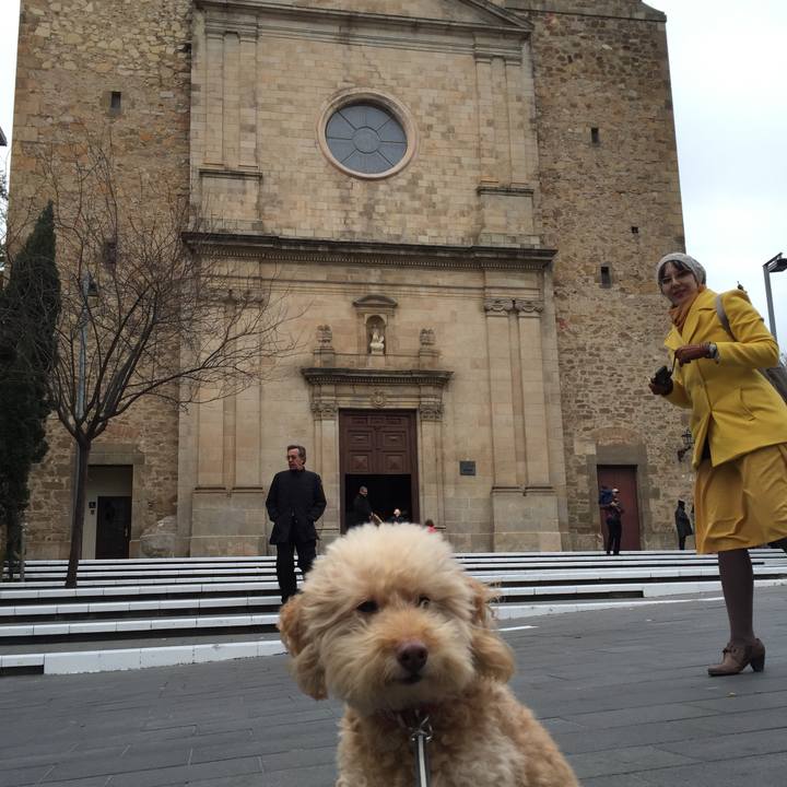 E8277c5e 2633 4f75 8f1a 69b3a3d3adea