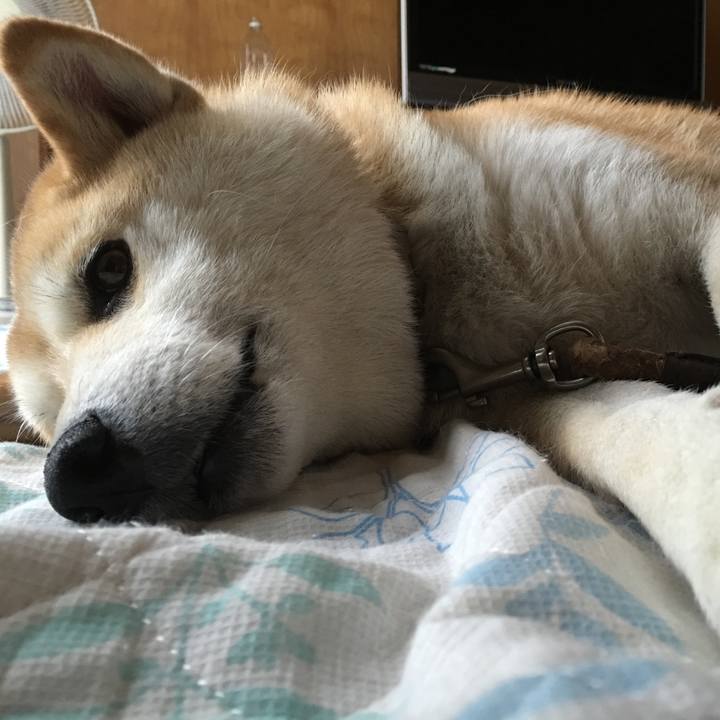 E82820fa 589b 4cb5 9624 0757f7d63c77