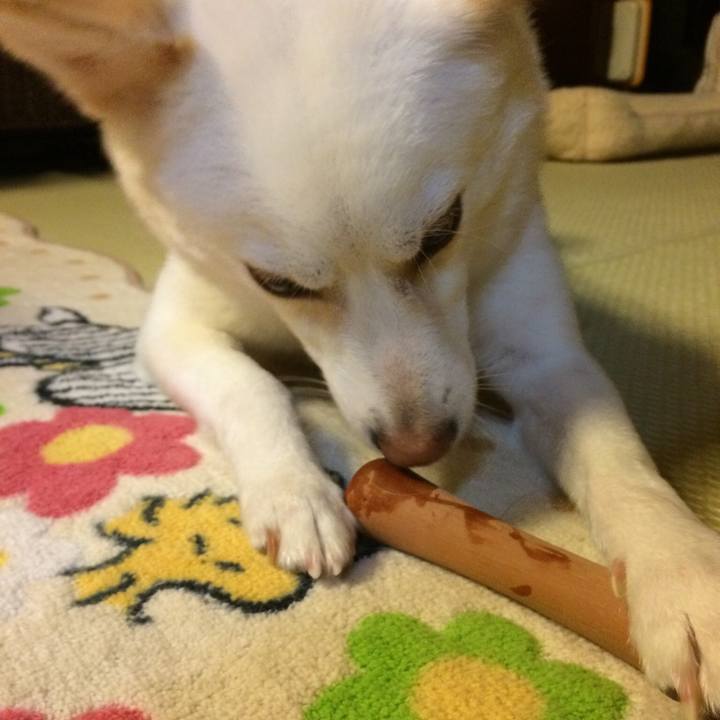 E828e3bb 05d3 4e5a 9e25 8601379dce24