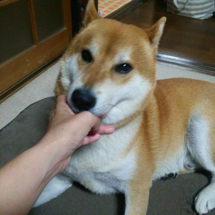 E829116a fd44 4f72 a0c0 fbede05d8cd9