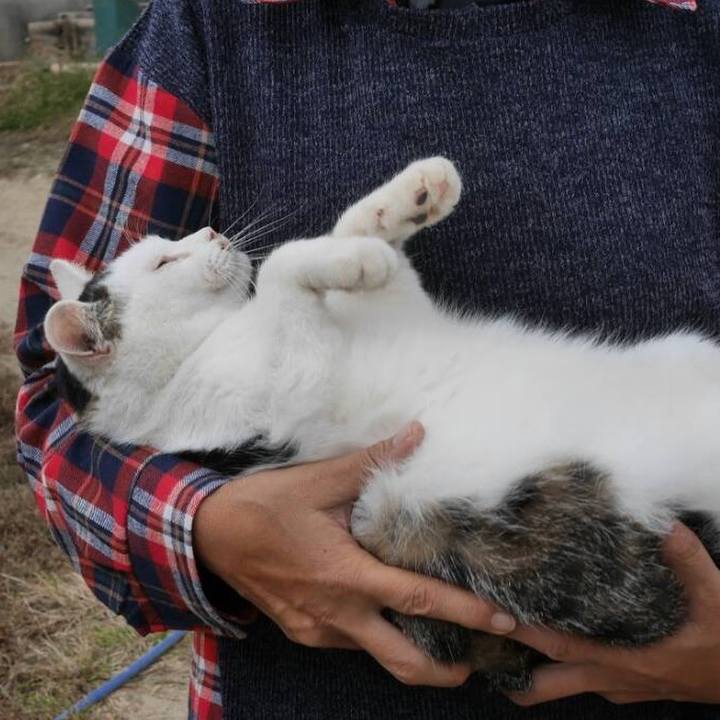 E8294191 8703 4eb0 a836 60acfc10c317