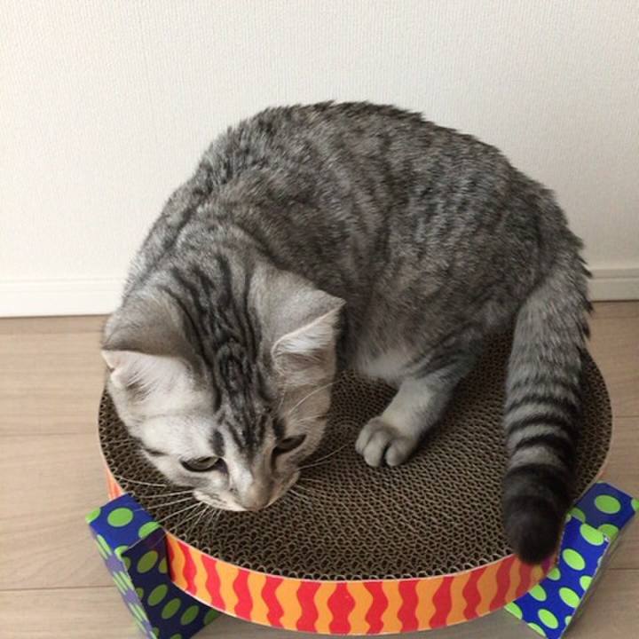 E8294278 9645 4531 a5e9 a4b6dddcf2b9