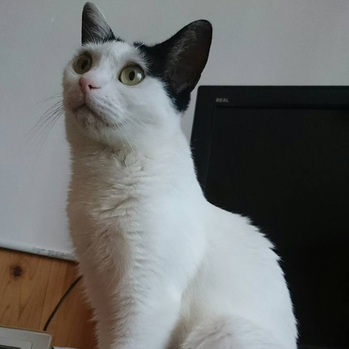 E8298524 5a0e 454d 86b0 8889e59036cf