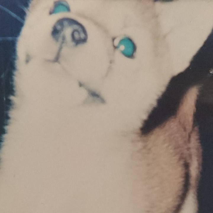 E82a0d83 6062 4e05 8500 f7199f7311af