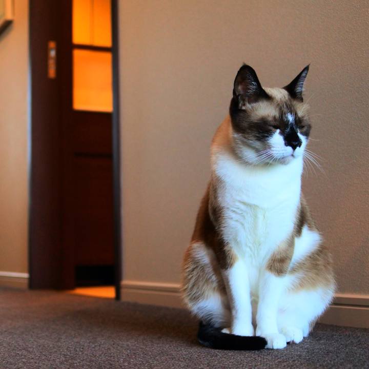 E82a8d3c 4a46 4d7b aa14 d3da3a56d060