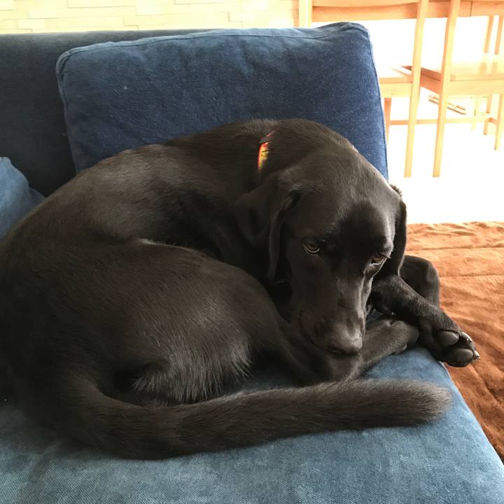 E82b5a5d 58d2 467e 8c0c c1922e302ee4