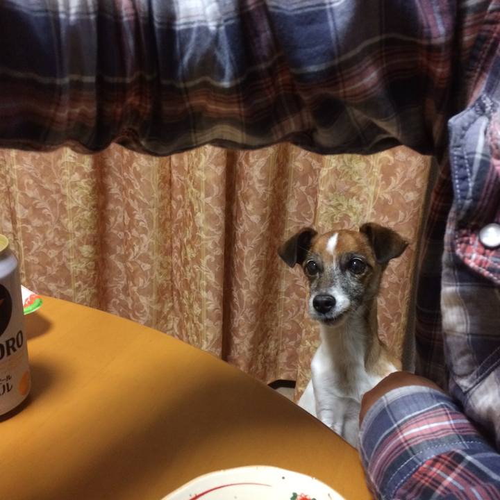 E82b5dd1 2569 4c69 b0ef 2c84419b4774