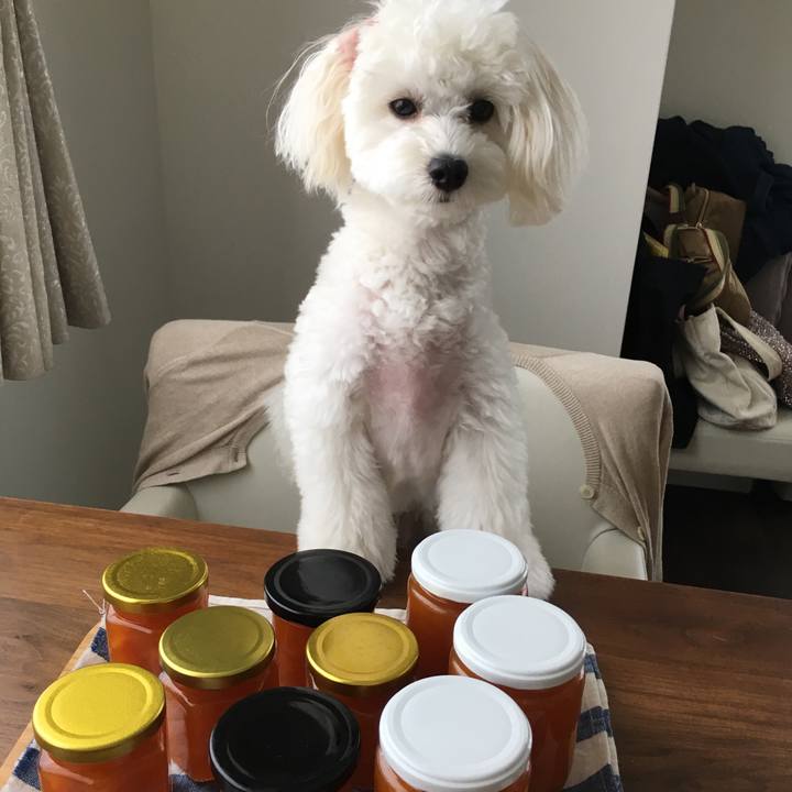 E82b99d6 b773 4a87 8131 cf20924ca25f