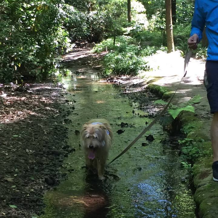 E82c02d3 1782 4250 af39 a47a165d5bd5