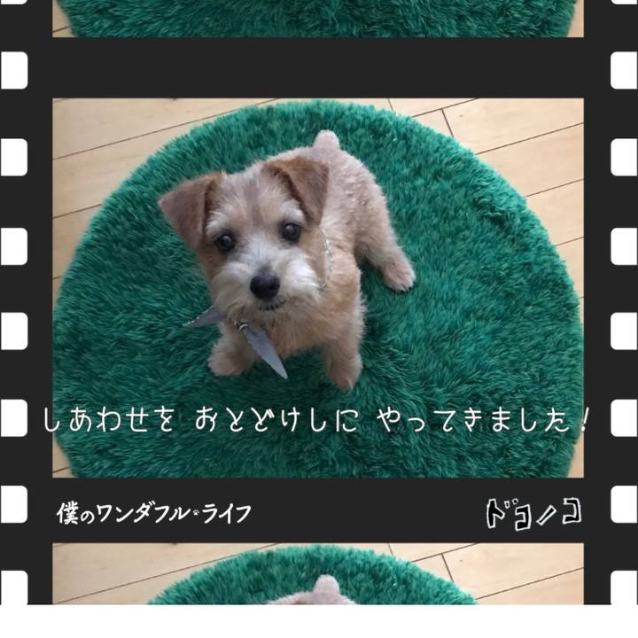 E82c3db8 1b05 4b6a 915e 5d33582d1ea1
