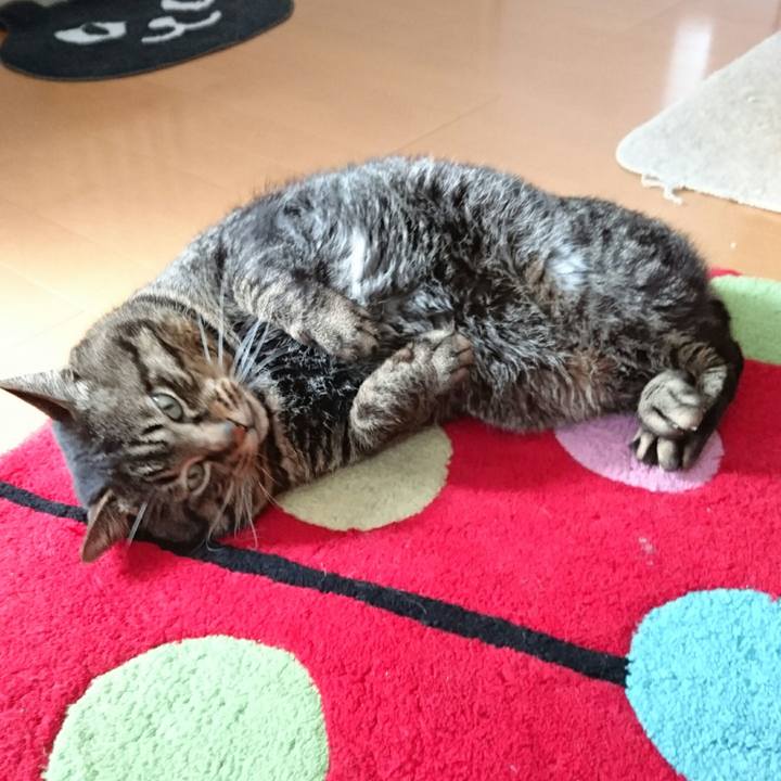 E82cd3cd aa87 49b0 885b 10ff25a46950