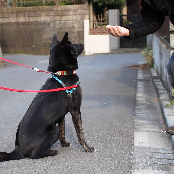 E82ce45a 316d 4fb4 86e1 3cb8fa11fcda