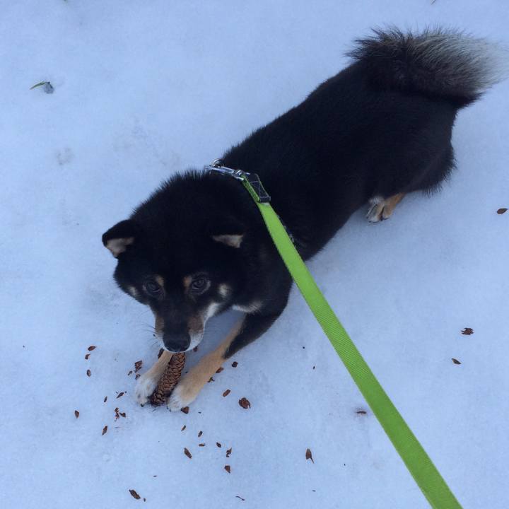 E82d2d93 fc4d 4641 8880 6238a98fad17