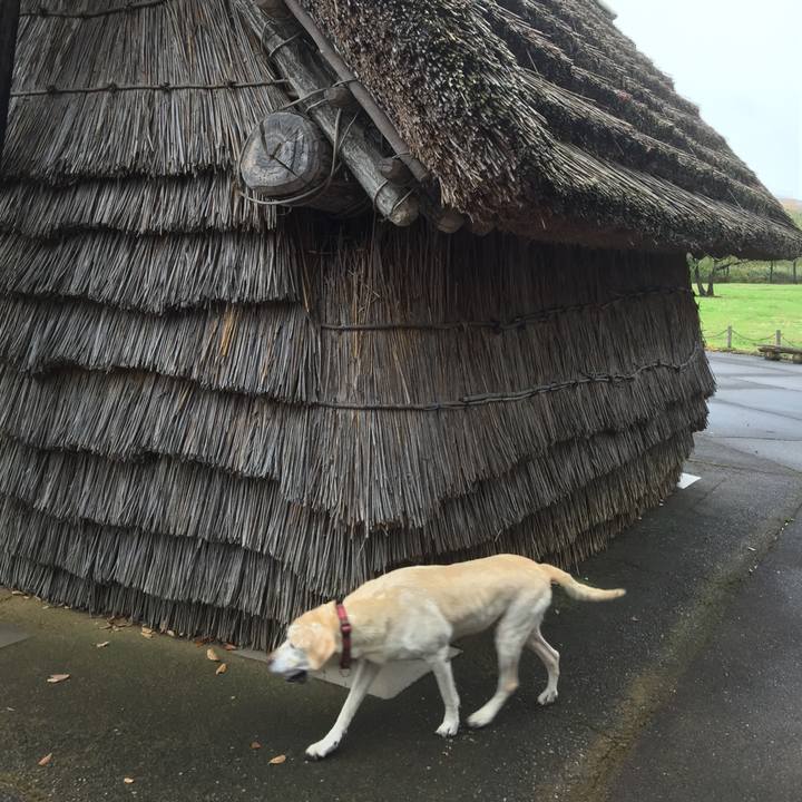 E82db9dd 087c 42df 9dd2 78810b95746b