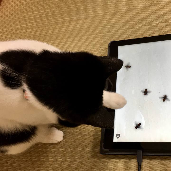 E82ec68c 71b9 4925 8c6e bed26b9510ed