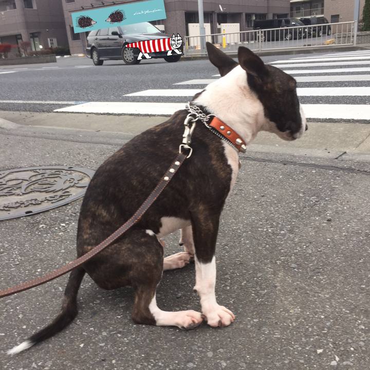 E82f7a30 75f9 4a16 9cf7 1df90c00fb48