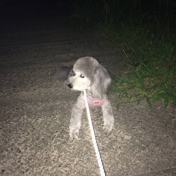 E82fd4d8 1b33 4c7f a57d 2c293c09fb6c