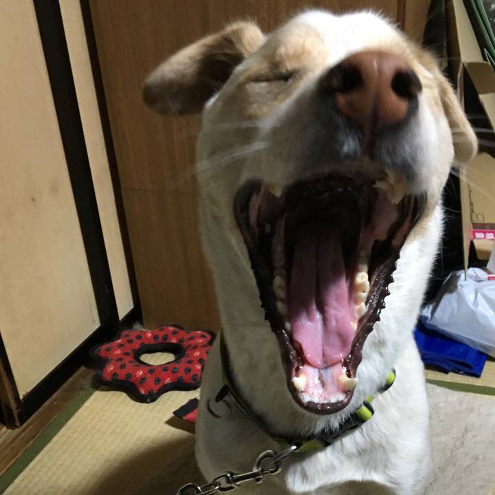 E82fe4e8 0f19 4bfa 9ec6 9276116de90a